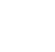 Shreveport - Bossier Mavericks Logo
